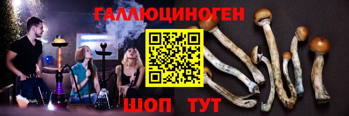 Галлюциногенные грибы Magic Shrooms Великие Луки